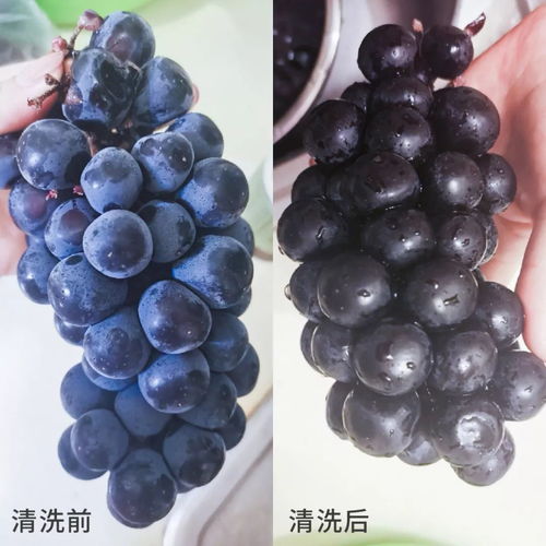 非常時期不要慌，做好這7道防護(hù)——非離子表面活性劑的安全應(yīng)用指南